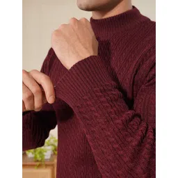 THE BEETEL HOUSE Men Ribbed High Neck Pullover image 4