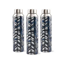 The Better Home Silver-Toned & Grey 3 Pieces Stainless Steel Water Bottle 1 Litre-picture-32