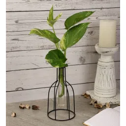 Black Metal Planter by The Decor Mart-picture-41