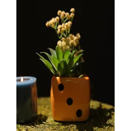 The Decor Mart Orange Textured Ceramic Dice Planter-picture-12