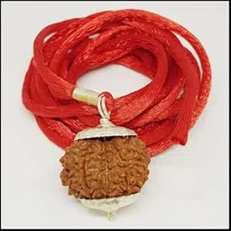 10 ???? ????????? 10 face rudraksha Round Shape 10 Mukhi Rudraksha Original Certified by Lab Dus Mukhi Rudraksha with Cap & Red Thread Ten Face ?? ???? ????????? by The Gallery Of Gemstones-picture-54