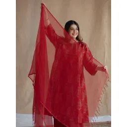 The Indian Ethnic Co Red Cotton Duppatta-picture-43