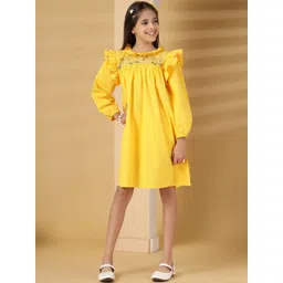 The Little Trunk Puff Sleeve A-Line Dress-picture-25