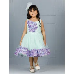 The Lush Affair Floral Net Fit & Flare Dress-picture-57