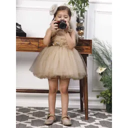 The Lush Affair Girls Embellished Net Fit & Flare Dress-picture-19