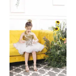 The Lush Affair Girls Floral Net A-Line Dress-picture-20