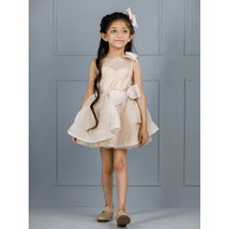 The Lush Affair Girls Self Design Net A-Line Dress-picture-13