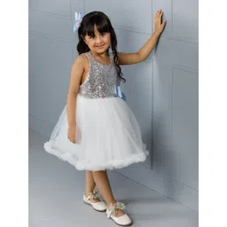 The Lush Affair Net A-Line Dress-picture-25