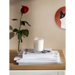 THE QUIRKY HOME White & Black Cat Printed Ceramic Wall Plates-picture-19