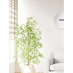 THE QUIRKY HOME White & Black Dream Printed Ceramic Premium Decorative Wall Decor-picture-12