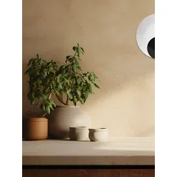 THE QUIRKY HOME White & Black Printed Ceramic Wall Plates-picture-38