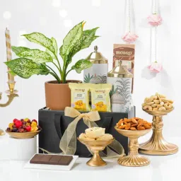 The Regal Green Gift Basket-picture-17
