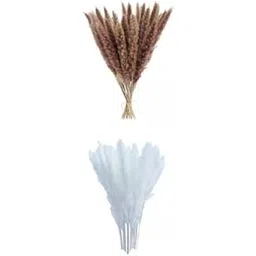 The Style SutraSet of 3 Phragmites Dried Pampa Bouquet Boho Fall Decor for Branches Wedding|Home & Garden | Home Decor| Floral Decor-image-5