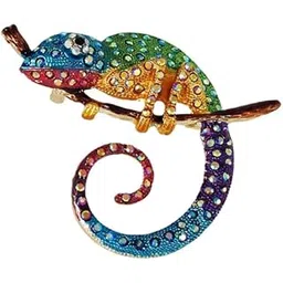 Formal Brooch for Men and Women Brass Pin with Rhodium Finish-image-19