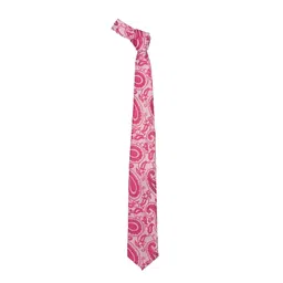The Tie Hub Men Paisley Printed Necktie with Pocket Square Combo-picture-19