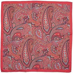 the tie hub Paisley Printed Red Silk Pocket Square For Men-picture-15