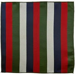 the tie hub Striped Design Microfiber Pocket Square for Men-picture-40