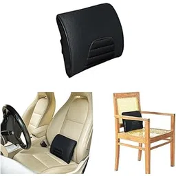 The White Willow Memory Foam Small Size Travel Lumbar Back Support Chair Cushion Pillow for Car, Airplane, Long Drive- Black (11" L x 9" W x 2" H)-picture-44