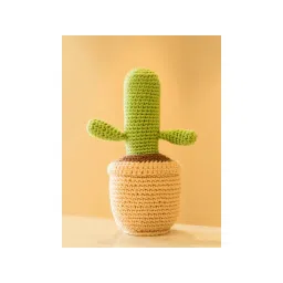 THE ZAPPY BOX Crochet Cactus Pot-picture-15