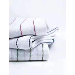 Thirsty Towel Blue & White Striped Pure Cotton 225 GSM Bath Towel image 3