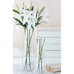 TIED RIBBONS Set of 2 Flower Vase for Living Room (Transparent, 29 cm & 16.5 cm) - Glass Vase Pot for Water Plants Home Decor Dining Table Decoration Bedroom Hall Aesthetic House Warming Gift-picture-14