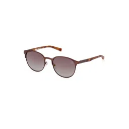 Timberland Grey UV Protection Round Sunglasses For Men-picture-46