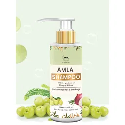 TNW the natural wash Amla Shampoo for Controlling Breakage & Thinning - 200 ml-picture-27