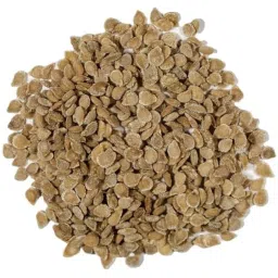 Tomato seeds|| Organic/Natraual tomato Seed for indoor/Outdoor Planting||50Healthy Original Seed of Home Gardening ||Vegitable Seeds(Pack of-1) A_5 image 2