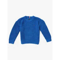 TOMMY HILFIGER Boys Blue Regular Fit Sweater-picture-21