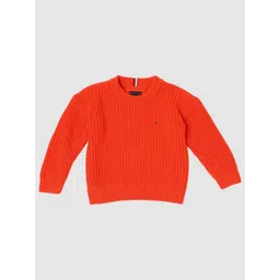 Tommy Hilfiger Boys Self Design Cotton Pullover-picture-30