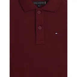 Tommy Hilfiger Boys Solid Polo Collar Cotton T-shirt-picture-18