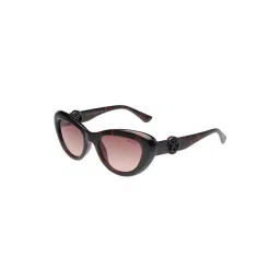 TOMMY HILFIGER Brown Cat Eye UV Protection Sunglasses for Women-picture-11