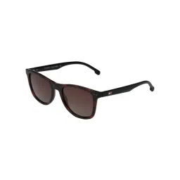 TOMMY HILFIGER Brown Wayfarer UV Protection Unisex Sunglasses-picture-41