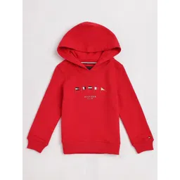 Tommy Hilfiger Europe Boys Embroidered Hooded Sweatshirt-picture-31