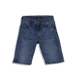 Tommy Hilfiger Kids Blue Regular Fit Shorts-picture-38
