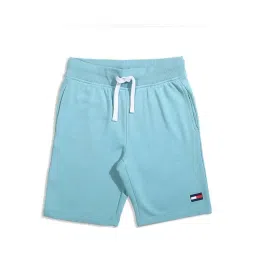 Tommy Hilfiger Kids Blue Solid Shorts-picture-45