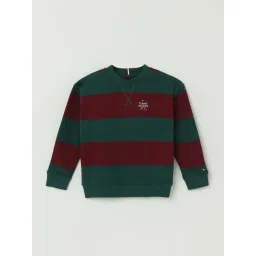 Tommy Hilfiger Kids Deep Rouge/Ornamental Green Striped Full Sleeves Sweatshirt-picture-28