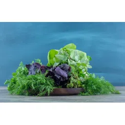 TORPE-12W Plant Grow Light Bulb B22 with clear pc cover. (24 LED Blue 450nm) image 5