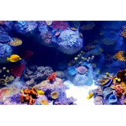 TORPE-12W Plant Grow Light Bulb B22 with clear pc cover. (24 LED Blue 450nm) image 3