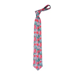 Tossido Men Grey & Red Printed Broad Tie-picture-35