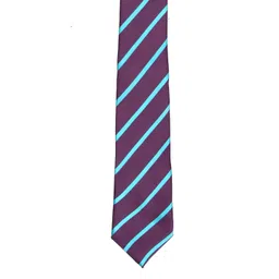 Tossido Men Purple & Blue Striped Broad Tie-picture-31