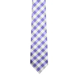 Tossido Men Purple & White Checked Broad Tie-picture-32