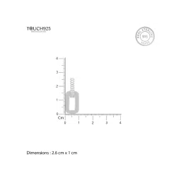 Touch925 925 Pure Silver Elegant Crystal Drop Earrings image 5