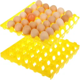 touchmi Egg holder Egg Holder-picture-27
