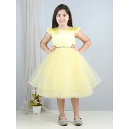 Toy Balloon kids Girls Cap Sleeves Embellished Detail Net Fit & Flare Dress-picture-33