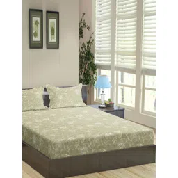 Trance Home Linen Green Printed Cotton 144 TC Fitted Single Bedsheet Set 1.83 M x 1.22 M-picture-27