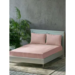 Trance Home Linen Peach Pure Cotton 300 TC Queen Size Bedsheet Set 1.90 m x 1.52 m-picture-13