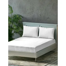 Trance Home Linen White 300 TC Pure Cotton Fitted King Bedsheet With 2 Pillow Covers-picture-38