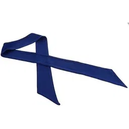 TRENDYNEST 2xSports Head Tie Headband Sweatband for Running Basketball Tennis Yogo Blue | Hats & Headwear | Clothing | Clothing, Shoes & Accessories-picture-10