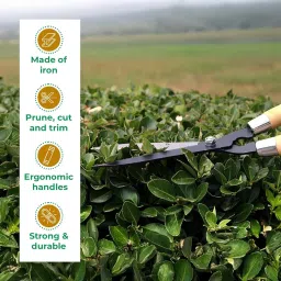 TrustBasket Heavy Duty Garden Shear – (4.5 mm Think, 7 inch Long, Metal Blade) Comfortable Grip for Trimming, Pruning, Cutting, Hedge Cutter Tool for Lawn, Hedge Trimmer for Garden image 2